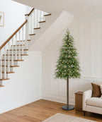 Decoway 7FT Pre-Lit Artificial Christmas Tree with 350 Warm White LED Lights-Homde