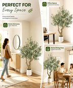 Decoway Artificial Olive Tree with White Planter, Multiple Heights-5ft-31-Homde