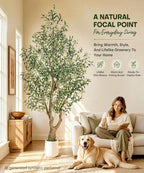 Decoway Artificial Olive Tree with White Planter, Multiple Heights-5ft-12-Homde