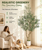 Decoway Artificial Olive Tree with White Planter, Multiple Heights-5ft-14-Homde