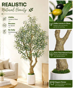 Decoway Artificial Olive Tree with White Planter, Multiple Heights-5ft-24-Homde
