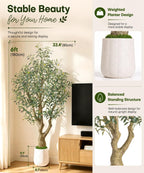 Decoway Artificial Olive Tree with White Planter, Multiple Heights-5ft-25-Homde