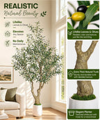 Decoway Artificial Olive Tree with White Planter, Multiple Heights-5ft-16-Homde