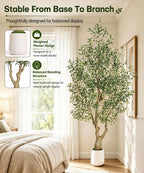Decoway Artificial Olive Tree with White Planter, Multiple Heights-5ft-9-Homde