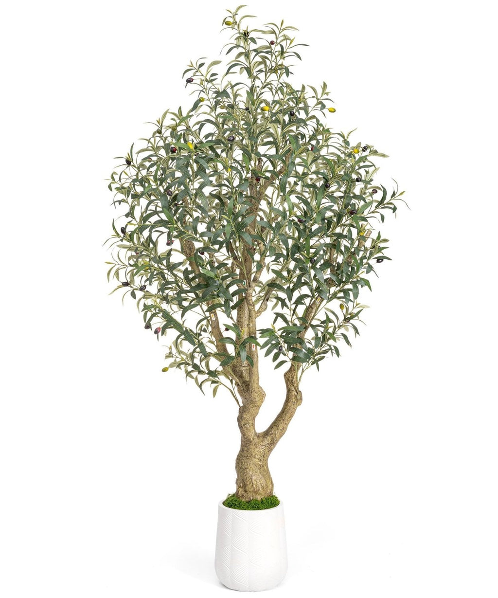 Decoway Artificial Olive Tree with White Planter, Multiple Heights-6ft-3-Homde