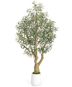 Decoway Artificial Olive Tree with White Planter, Multiple Heights-6ft-3-Homde
