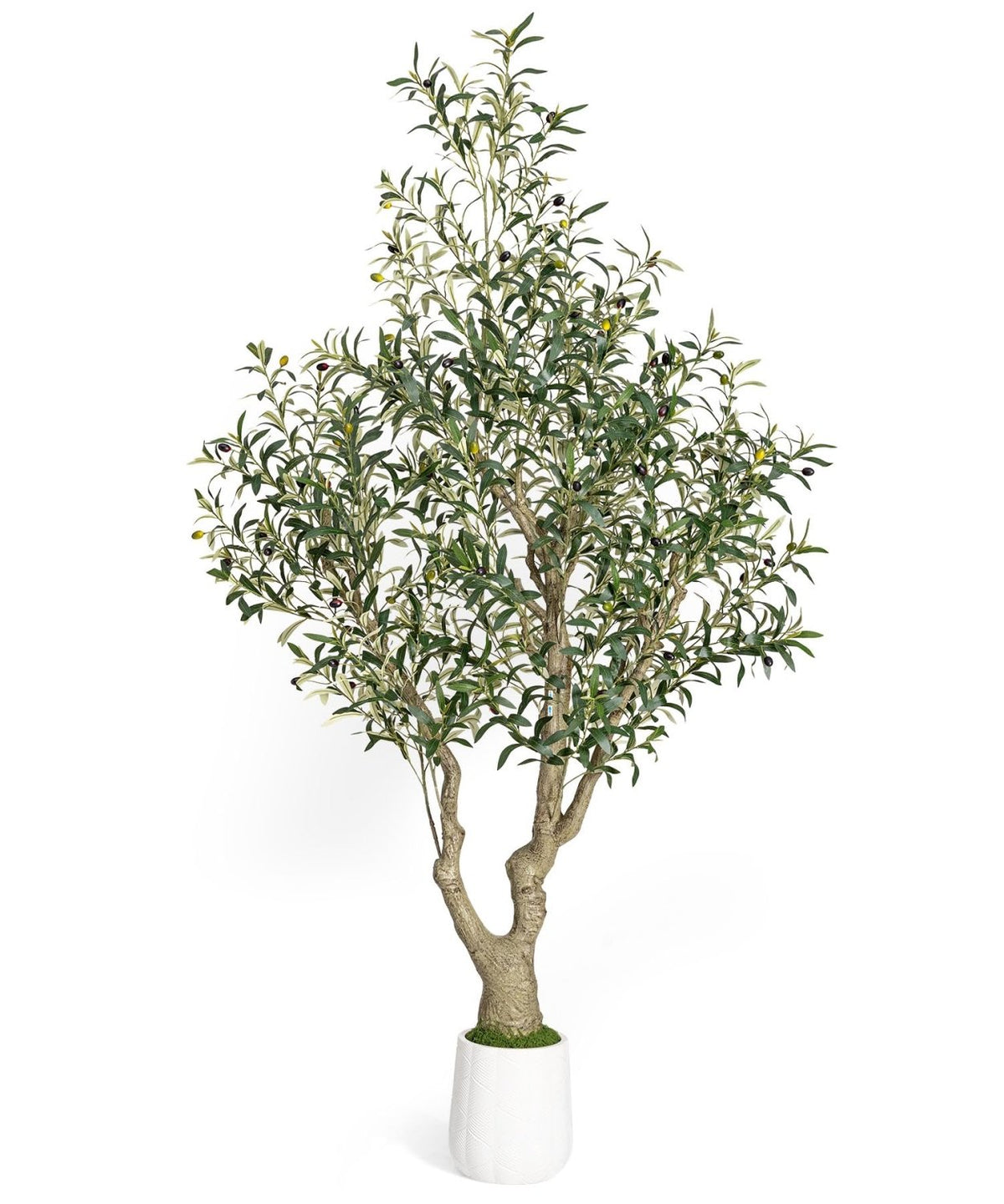 Decoway Artificial Olive Tree with White Planter, Multiple Heights-7ft-2-Homde