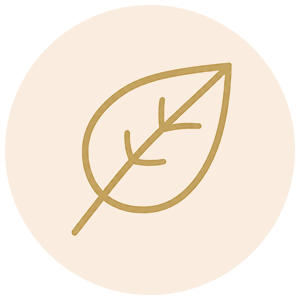 A minimalist gold leaf outline icon centered inside a pale peach circle on a white background.